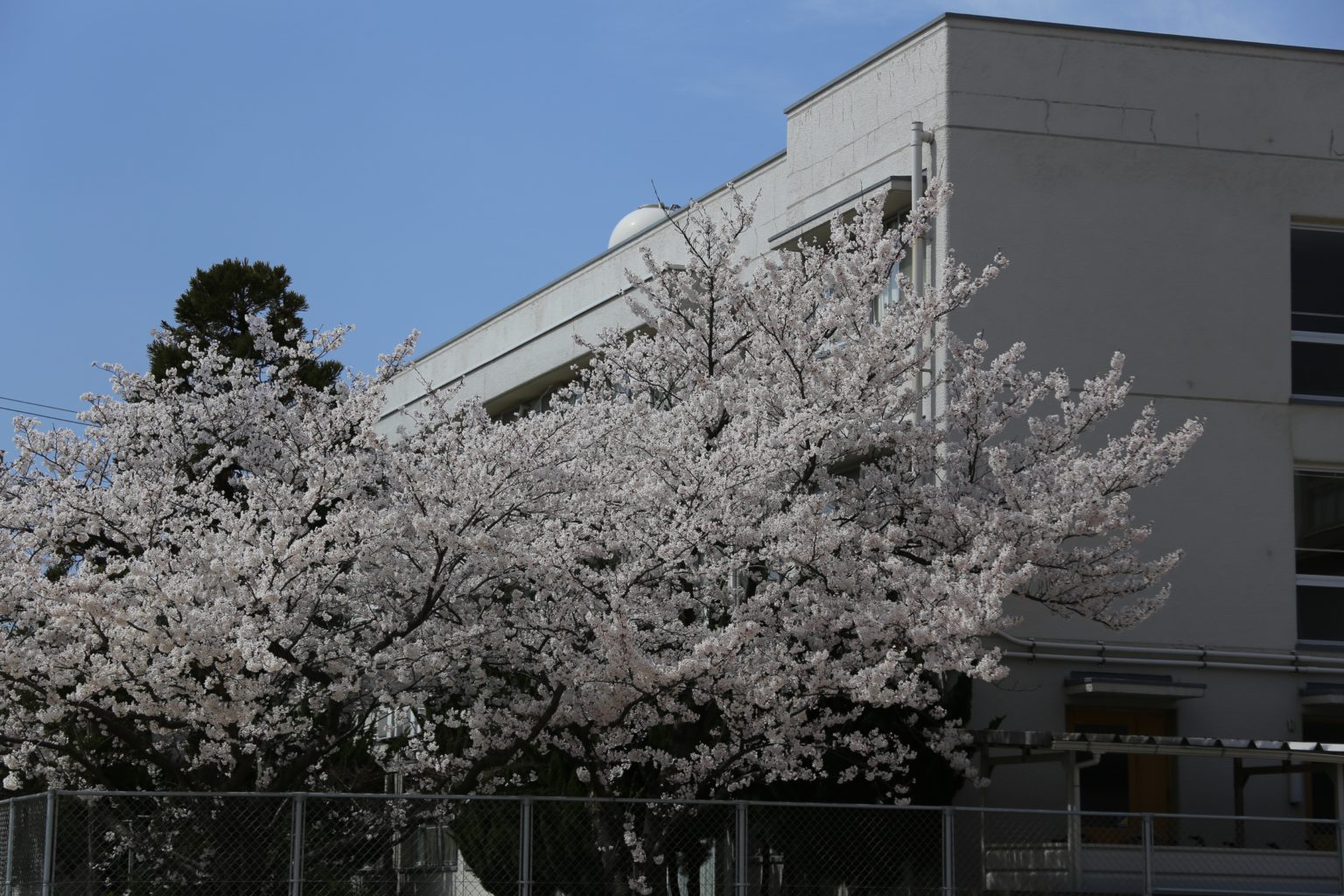 米子北高等学校校内画像