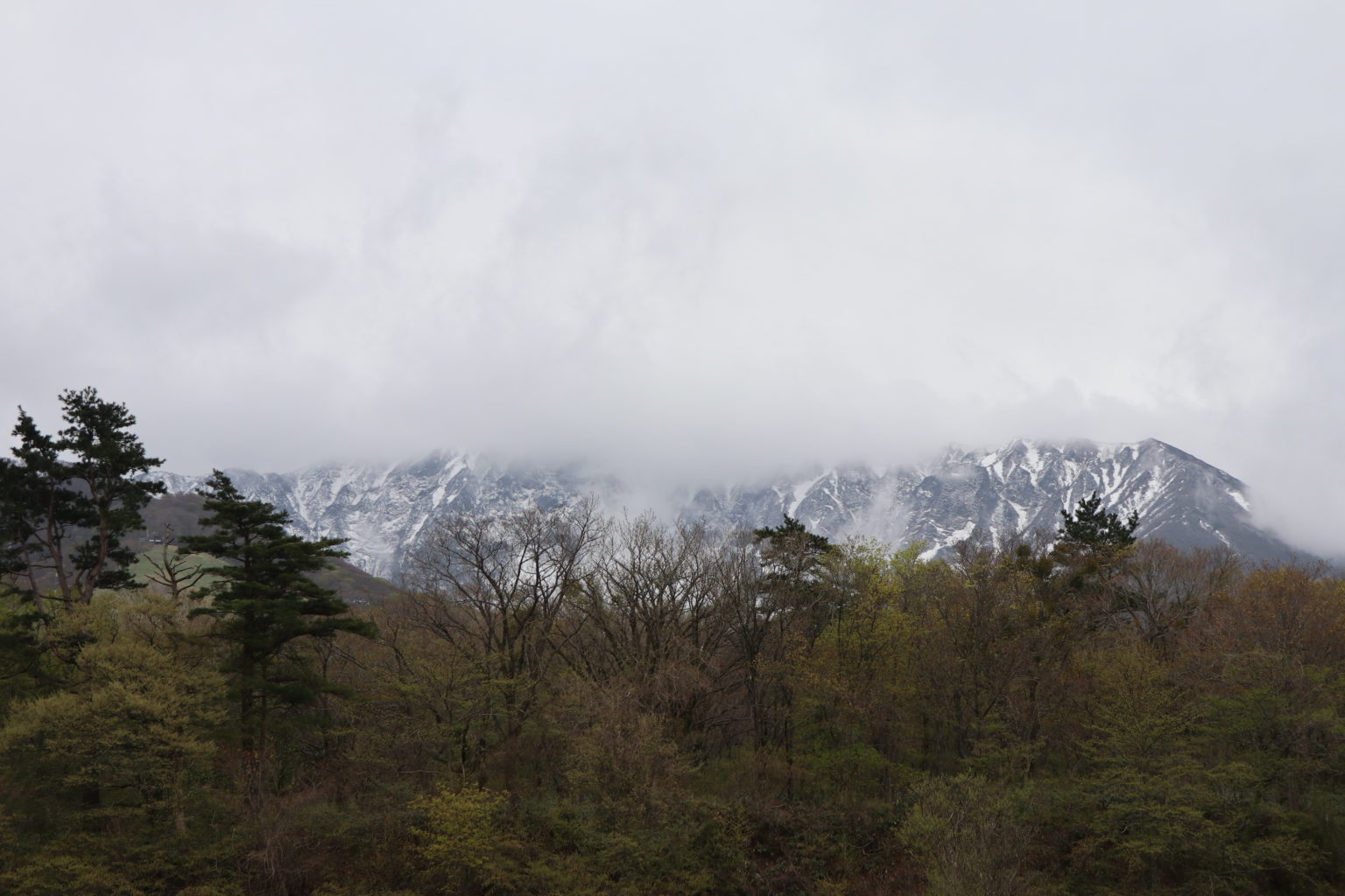 春恒例の大山合宿！