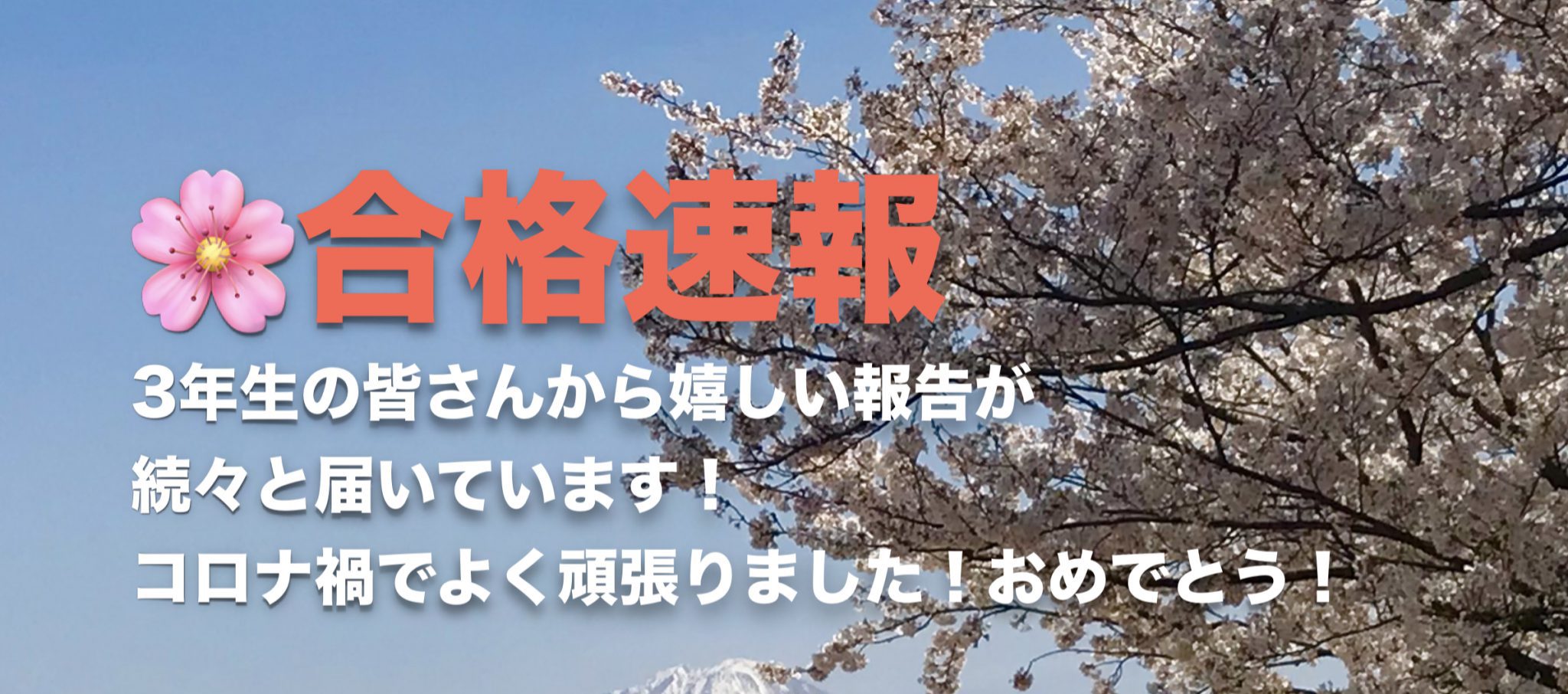 令和４年度入試 合格速報：国公立大前期 3/8現在